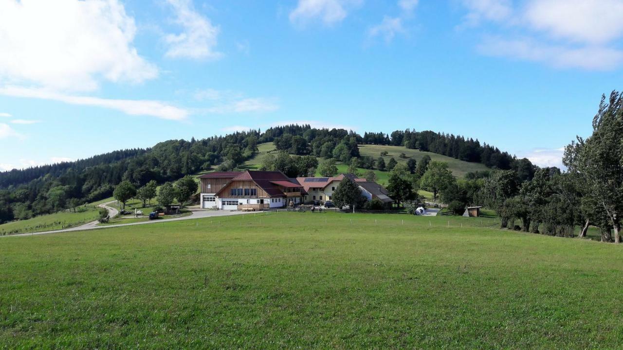 Oetscherblick Fam Winter Frankenfels Екстериор снимка