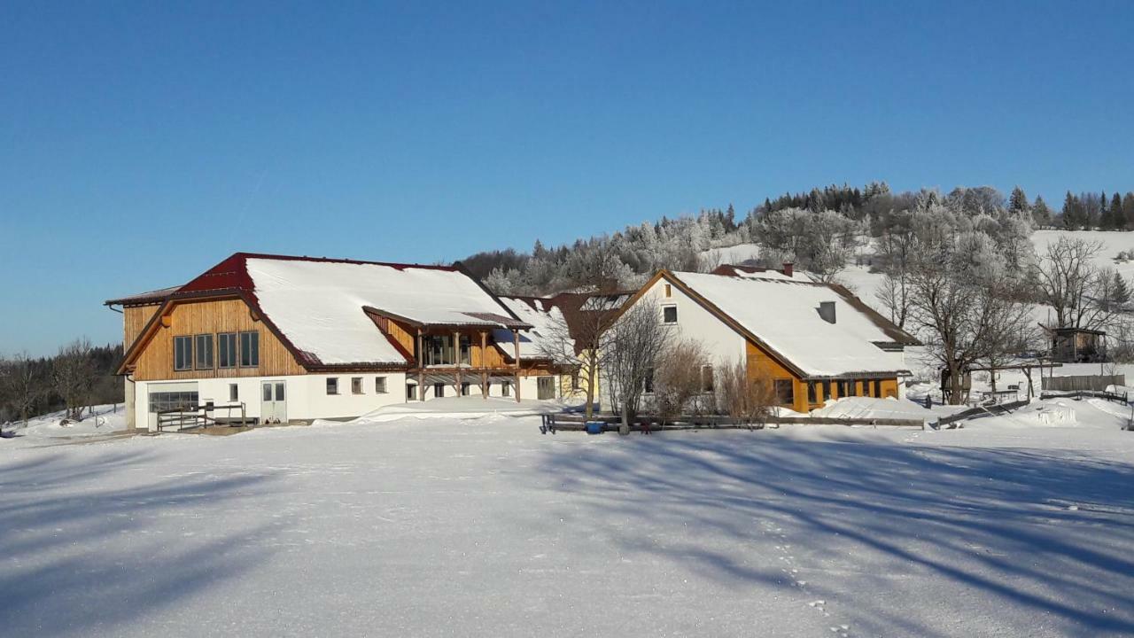 Oetscherblick Fam Winter Frankenfels Екстериор снимка